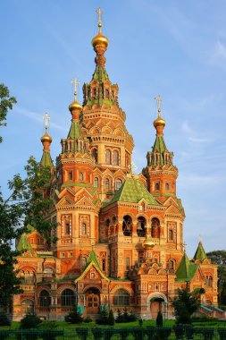 Aziz peter ve paul Katedrali, peterhof, Rusya Federasyonu