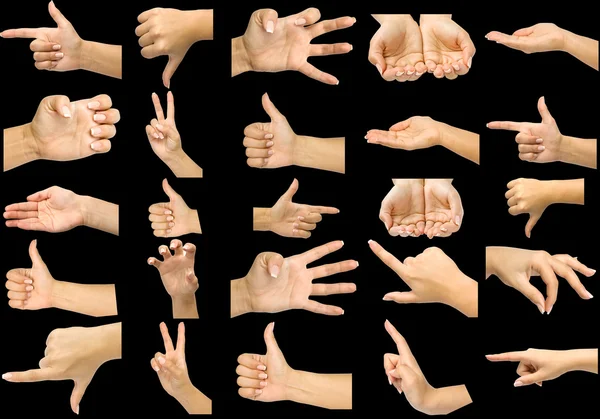 Collection hands — Stock Photo, Image