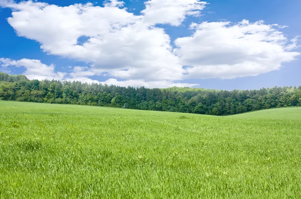 Gran primavera hermosa — Foto de Stock