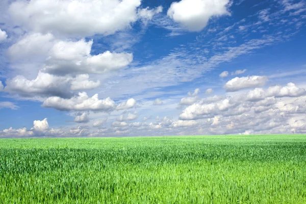 Hermosa primavera — Foto de Stock