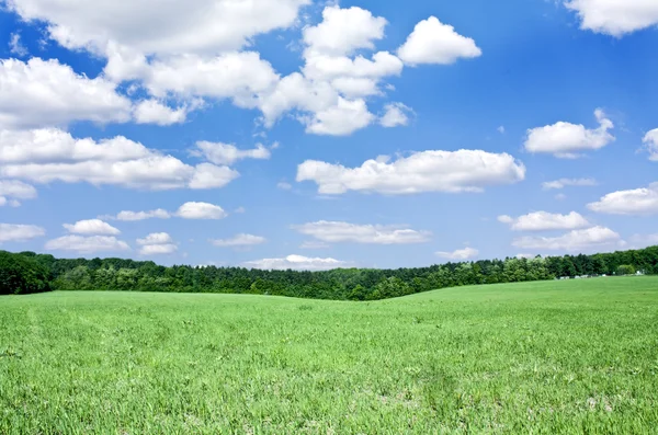 Hermosa primavera — Foto de Stock