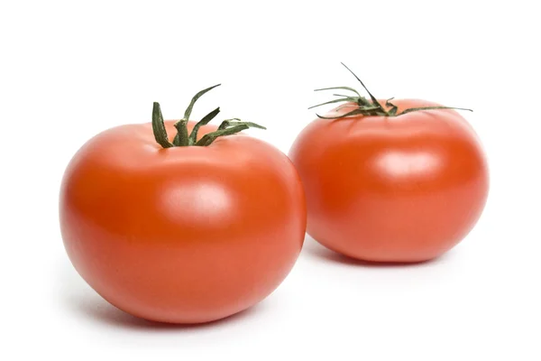 Pomodoro — Foto Stock