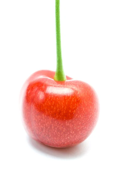 Sweet cherry — Stockfoto