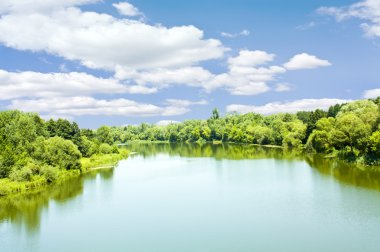 Resimli orman ve nehir.