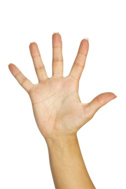 el simgesi