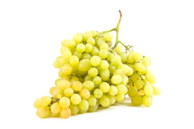 Sarmaşık fotoğrafı