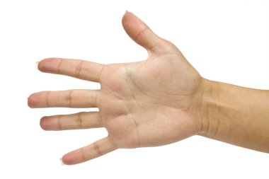 el simgesi