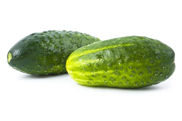 Pepino — Foto de Stock