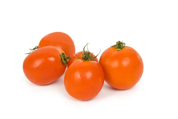 Tomaten — Stockfoto