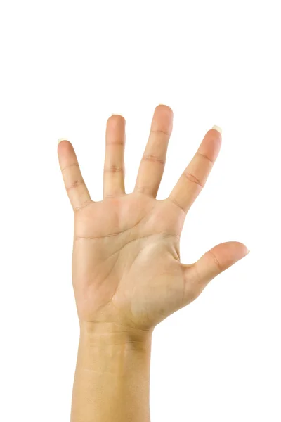 Hand symbol Stock Photo