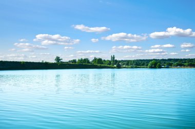 Resimli orman ve nehir.