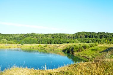 Resimli orman ve nehir.