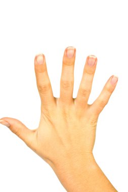 el simgesi