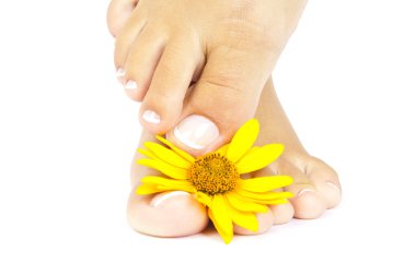 yumuşak kadın ayakları pedikür ve çiçekler ile yakın çekim