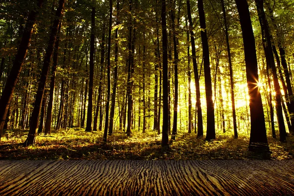 Holz strukturierte Hintergründe — Stockfoto