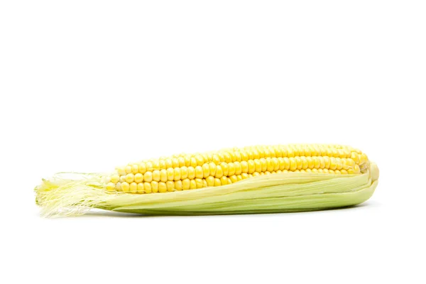 Corn isolated on white — Stock Photo, Image