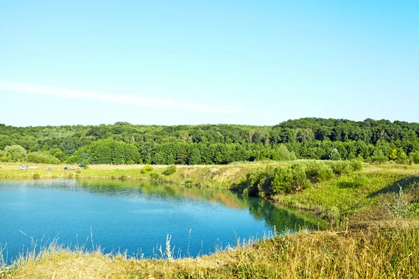 Foresta pittoresca e il fiume — Foto Stock