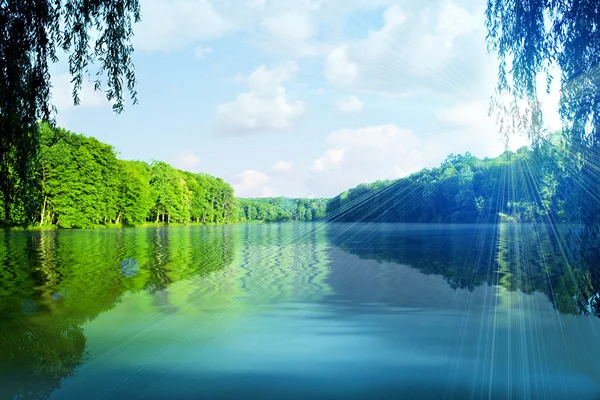 Forêt pittoresque et la rivière — Photo