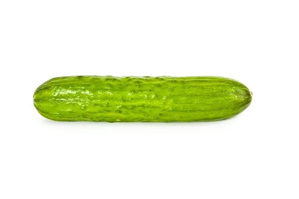 Pepino — Foto de Stock