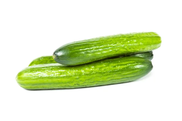 Pepino — Foto de Stock