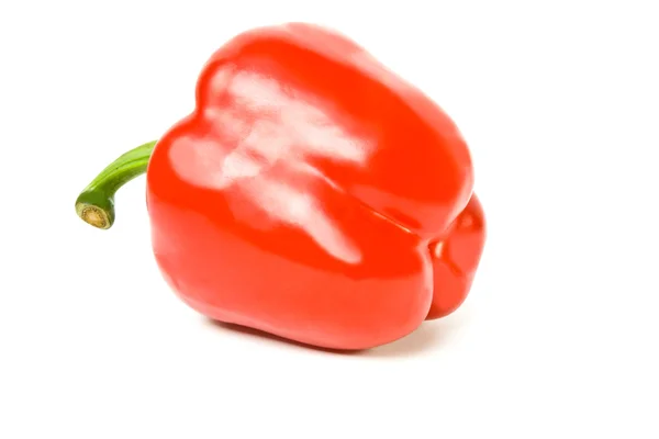 Röd paprika — Stockfoto