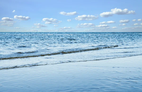 海鸥在蓝蓝的天空与自然海景 — 图库照片