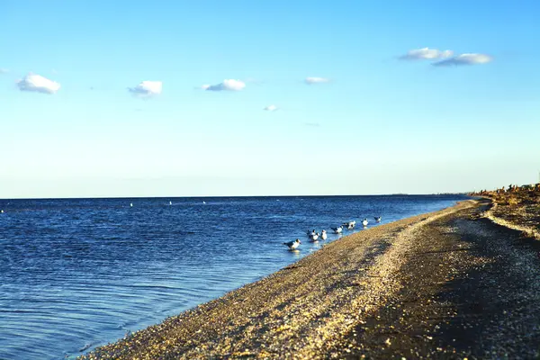 Naturen marinmålning — Stockfoto