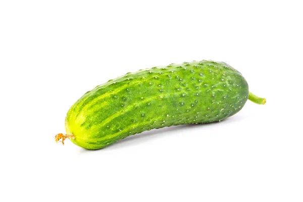 Cucumber — Stock Photo, Image