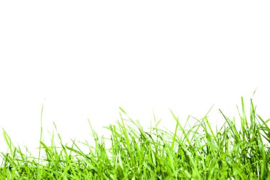 yeşil çim yalıtım