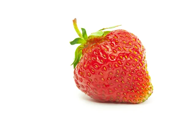 Strawberries — Stock Photo, Image