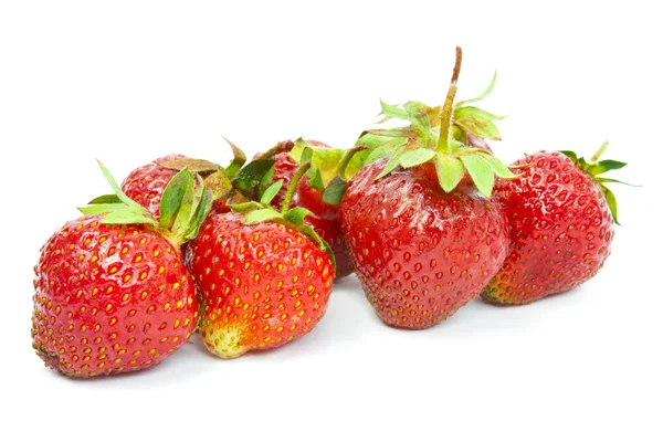 Strawberries — Stock Photo, Image