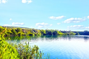 Resimli orman ve nehir.