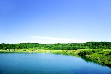 Resimli orman ve nehir.