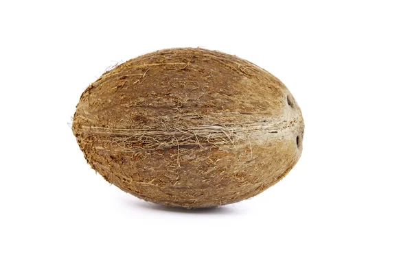 Coconut — Stock Photo, Image