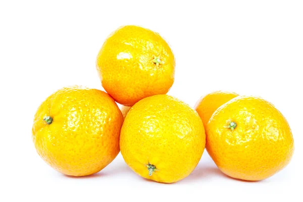 白色背景的橘子 — 图库照片