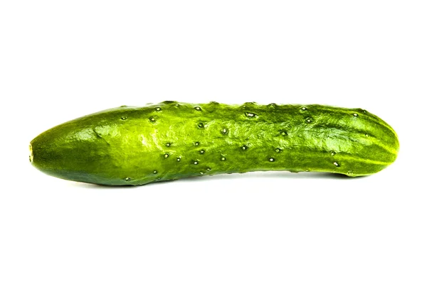 Cucumber on a white background — Stock Photo, Image