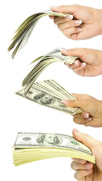 Collection dollars — Stock Photo, Image