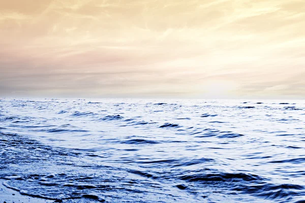 Natura paesaggio marino con gabbiano nel cielo blu — Foto Stock