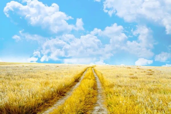 Vacker vår fält med den blå himlen — Stockfoto