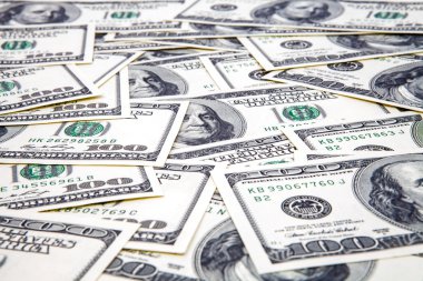 beyaz zemin üzerinde dolar