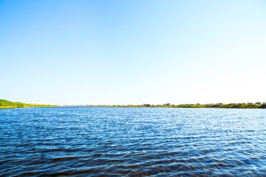 Resimli orman ve nehir.