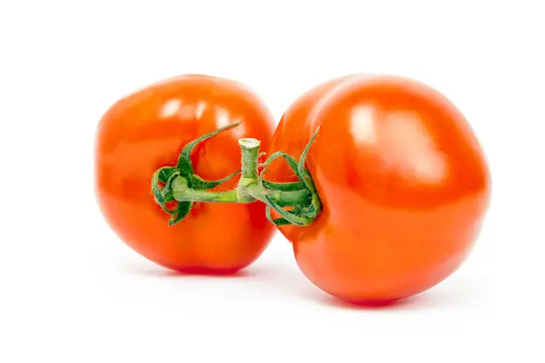 Tomato — Stock Photo, Image