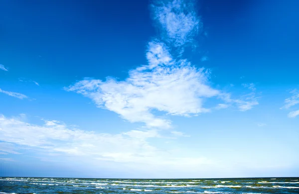 Paisaje marino natural con gaviota en el cielo azul — Foto de Stock