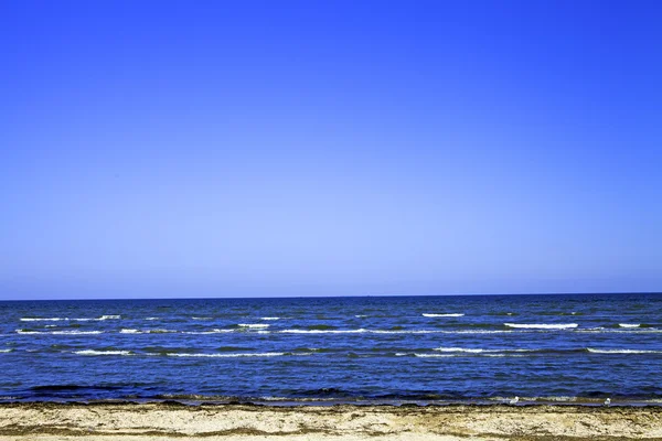 Морской пейзаж с чайкой в голубом небе — стоковое фото