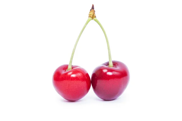 Cherry vit bakgrund — Stockfoto