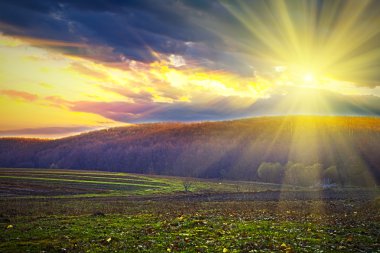 güzel bahar alan mavi gökyüzü ile