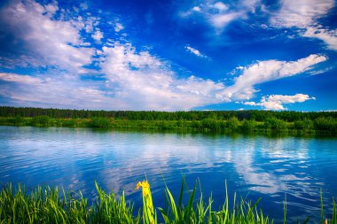 Resimli orman ve nehir.