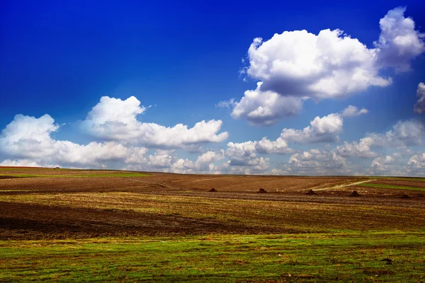 Beautiful spring field with the blue sky — Stock Photo, Image