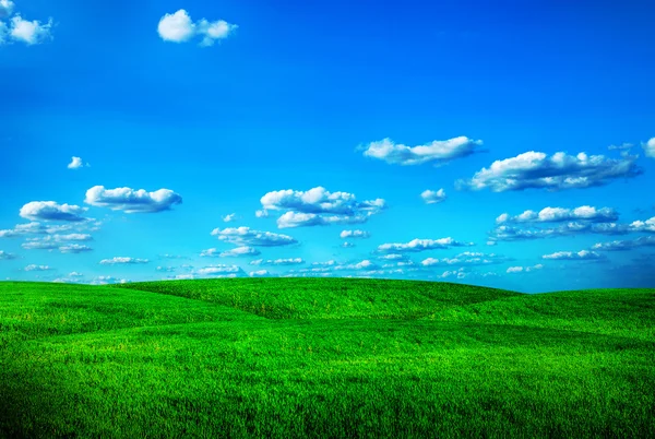 青い空と美しいスプリング フィールド — ストック写真