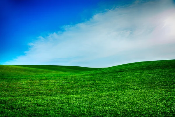 青い天と美しい朝の緑のフィールド — ストック写真